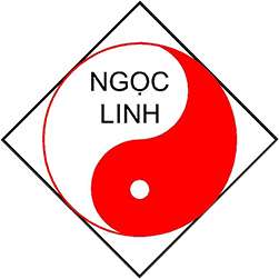 NGỌC LINH - CÔNG NGHỆ CHỐNG TỐC MÁI CHO NHÀ KÍN GIÓ